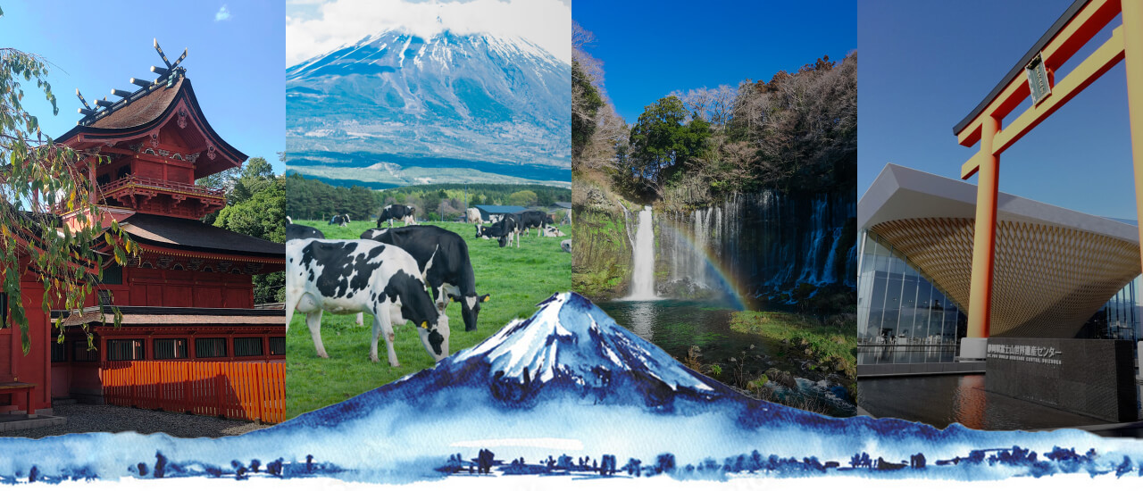 MT.FUJI TAXI TOURS