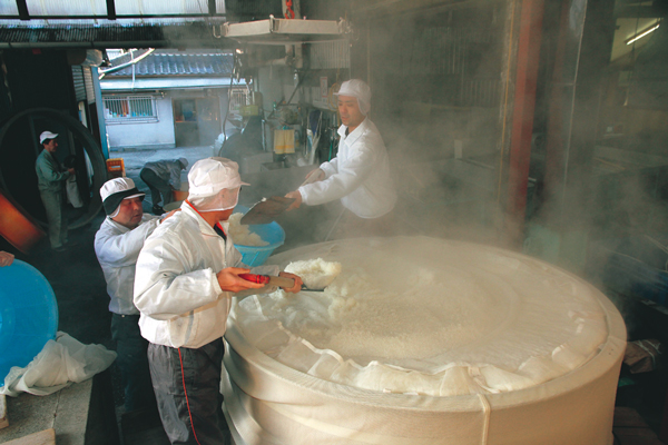 Fujinishiki Sake Brewery
