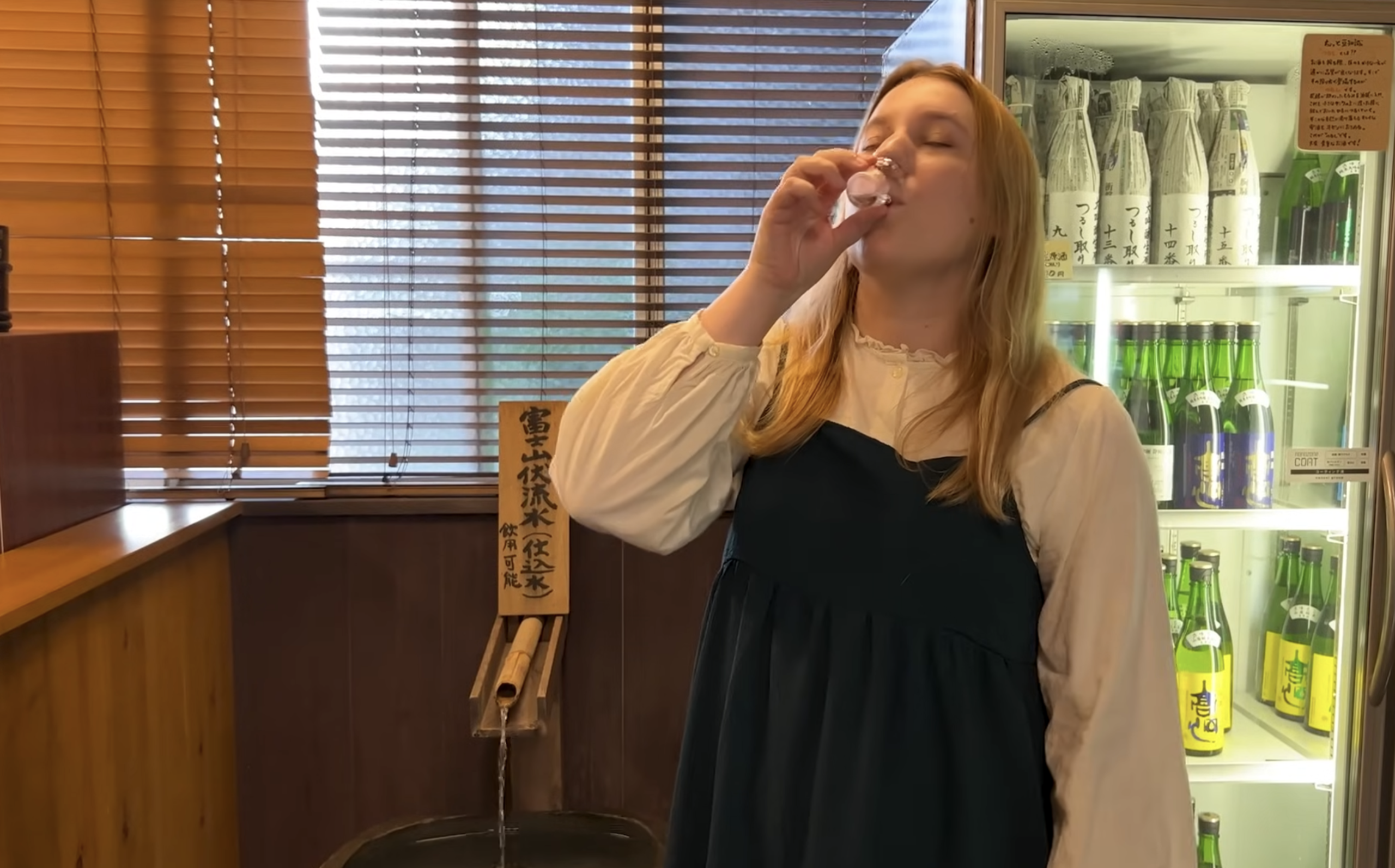 Sake tasting in Fujinomiya